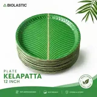 Kelapatta Plate 12 Inch - image 1