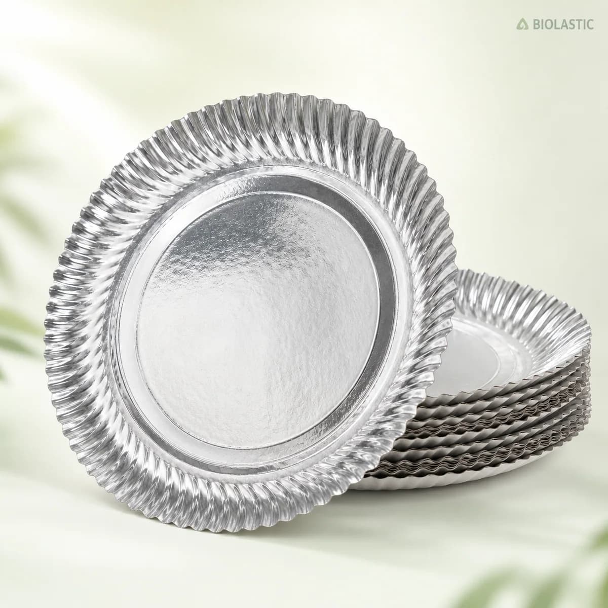 Silver Disposable Plate 12 Inch