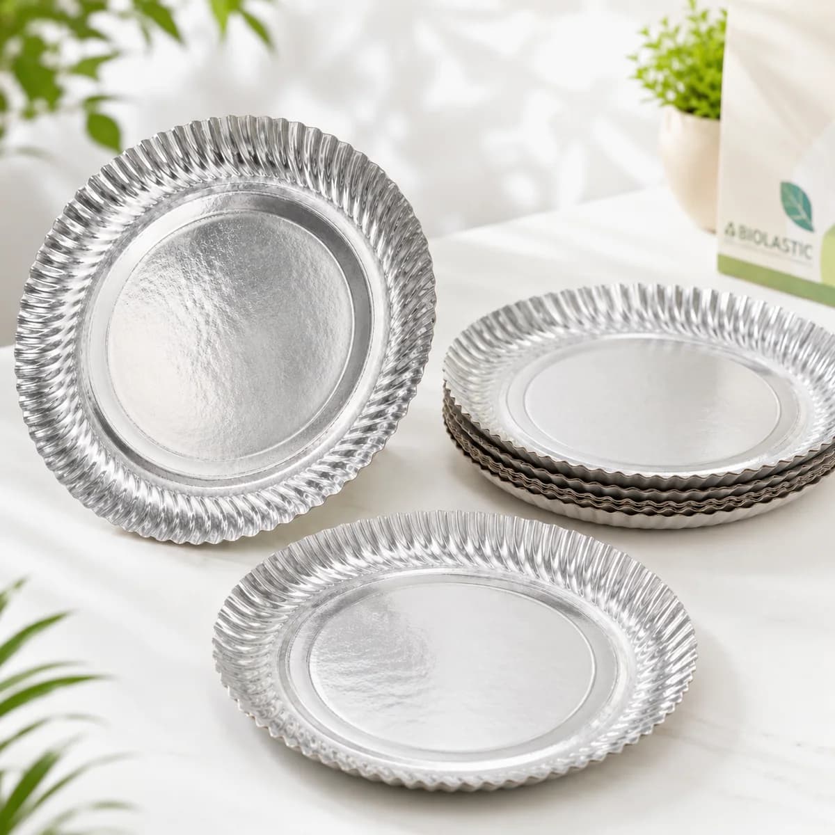 Silver Disposable Plate 12 Inch