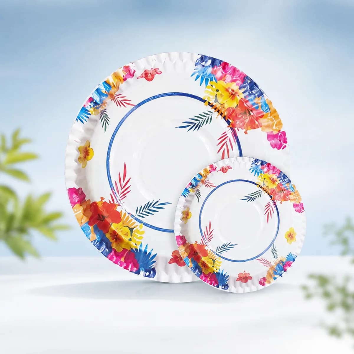 Plate ITC 180 12 Inch Printed Disposable Paper Plate Packet