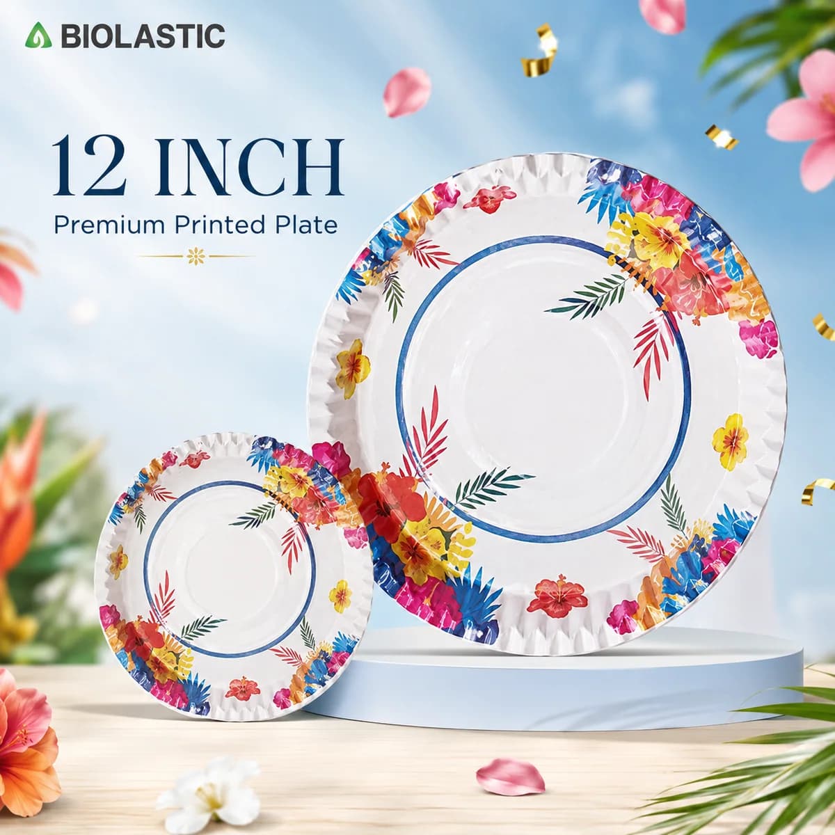 Plate ITC 180 12 Inch Printed Disposable Paper Plate Packet