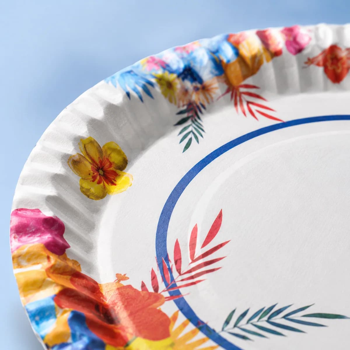 Plate ITC 180 12 Inch Printed Disposable Paper Plate Packet