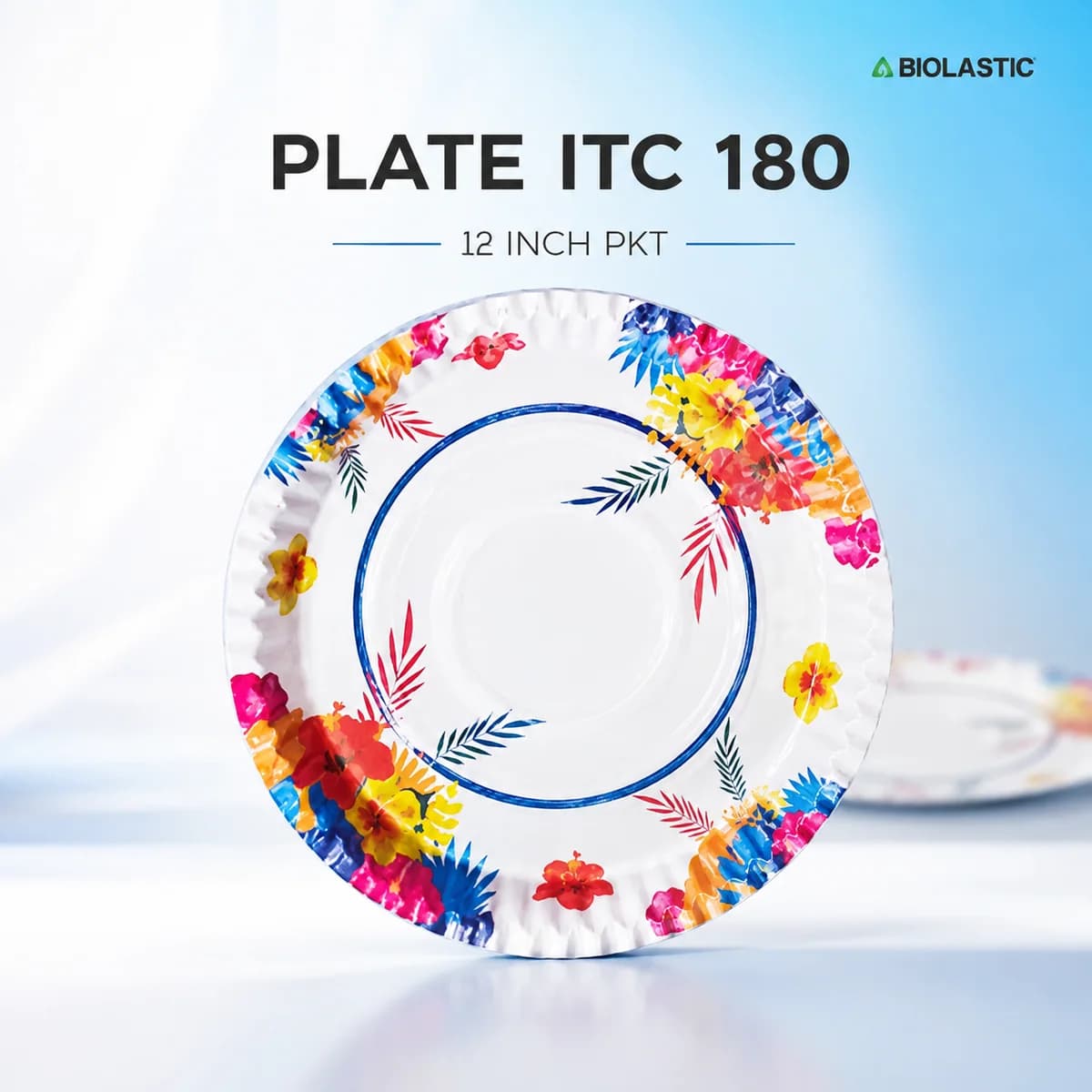 Plate ITC 180 12 Inch Printed Disposable Paper Plate Packet